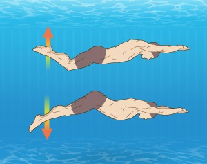 Swimming_DolphinKick_01_300x350