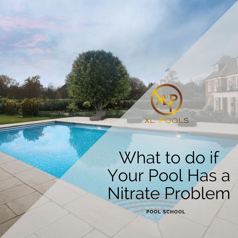 What to do if Your Pool Has a Nitrate Problem? Swimming